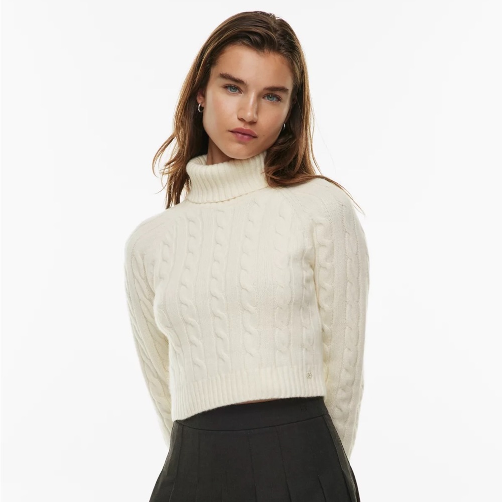 Aritzia Jones Sweater